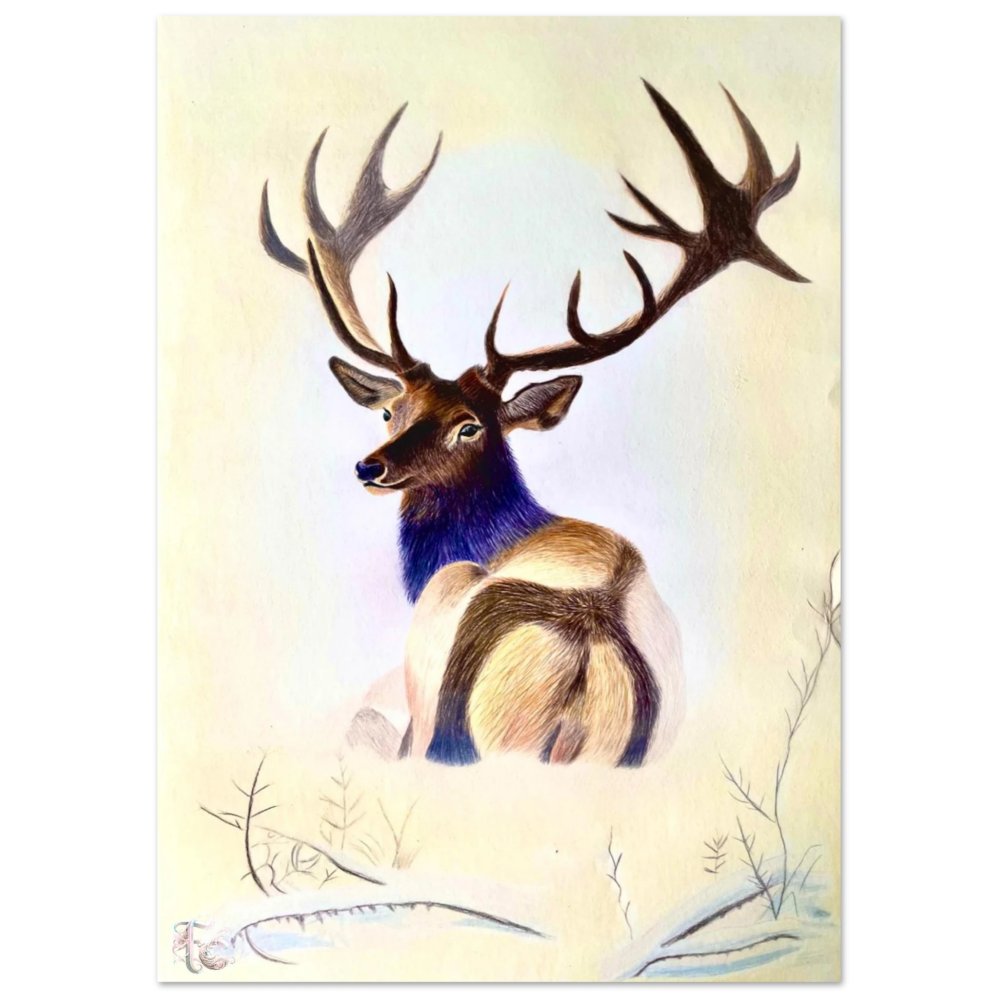 7a5b774c-d62f-4c67-8ca4-461f1ed531ee