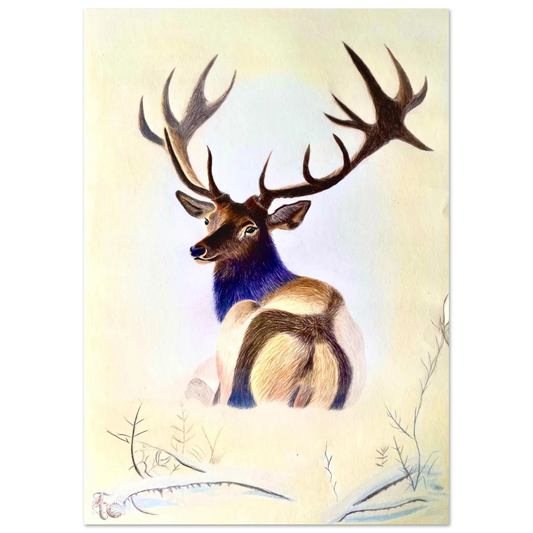 7a5b774c-d62f-4c67-8ca4-461f1ed531ee